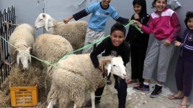 أعيادنا صورة لواقعنا