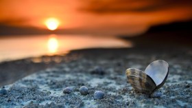 الغروب لا يأتي سرّاً