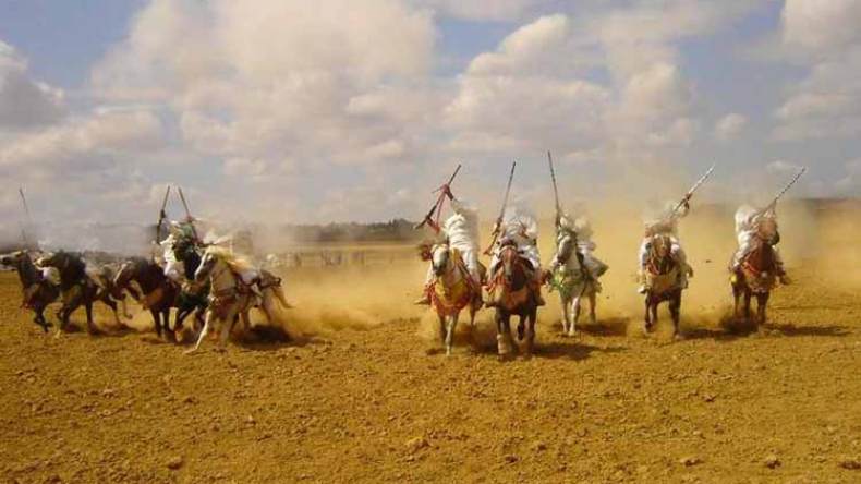 البارود.. عروض “الفنتازيا” وحوادث المرور تحول الأعراس إلى مآتم