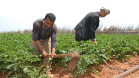 مشكل الأحواش يؤخر تحرير عقود الامتياز للفلاحين ببومرداس