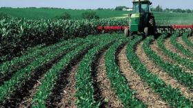 ها.. حي على الفلاح!