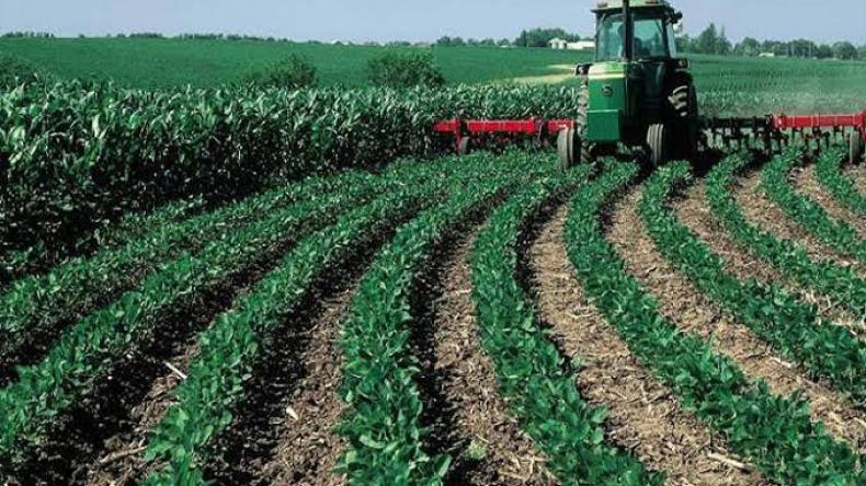 ها.. حي على الفلاح!