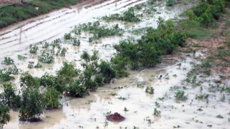 مشروع من أجل إيجاد نظام لتسيير الكوارث الفلاحية