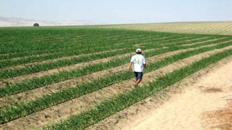 عدة عمليات تحفيزية في محيطات الامتياز الفلاحي بورقلة