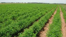 استرجاع 400 هكتار من الأراضي التابعة لأملاك الدولة بالبليدة