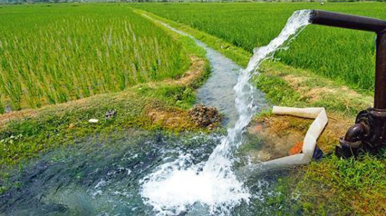 مسؤول بوزارة الفلاحة: المساحة المسقية فاقت مليون و500 ألف هكتار