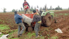نستبعد الجفاف.. ولا خوف على الفلاحين بعد 15 يوما