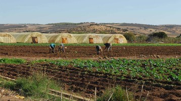 الأرض لمن ينهبها!