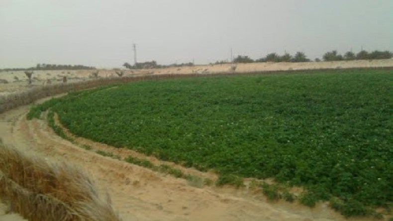 تدابير لتسريع تسوية وضعية العقار الفلاحي بالطيبات