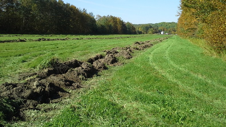 على الولاة استرجاع الأراضي “المنسية” ومحاربة “مافيا” العقار