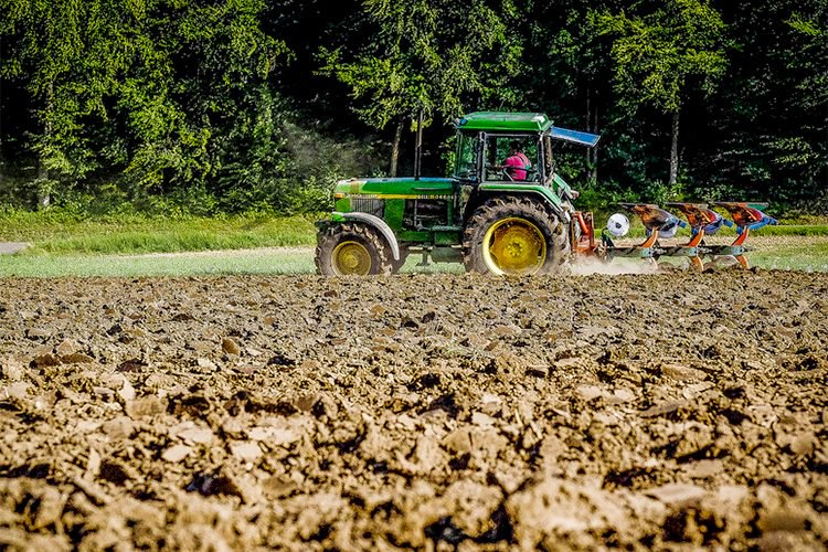Algeria-Saudi Arabia Investment Project Is Launched In Ghardaia