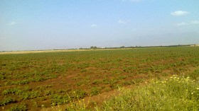 فلاحو بوخميسة يعارضون التنازل عن المحيط الغابي لإقامة مستشفى بالمسيلة