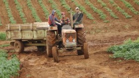 فلاحون يطالبون باستثنائهم من الحظر بغية تمويل الأسواق بأدرار