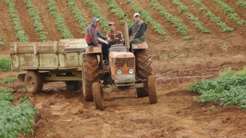 قرية بن زيرڦ.. هنا تنتهي الحياة ببشار