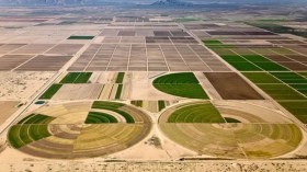 مشاريع الإستثمار في الأراضي الصحراوية: وزارة الفلاحة توجه نداء للمتعاملين