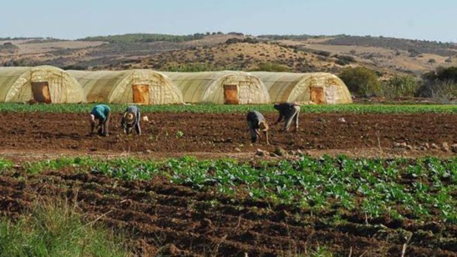 الفلاحون يشتكون من غلاء فواتير الكهرباء بورقلة