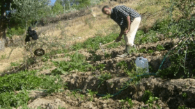 فلاحون من البويرة يرفضون قرار فتح مزارعهم أمام الشراكة الخاصة