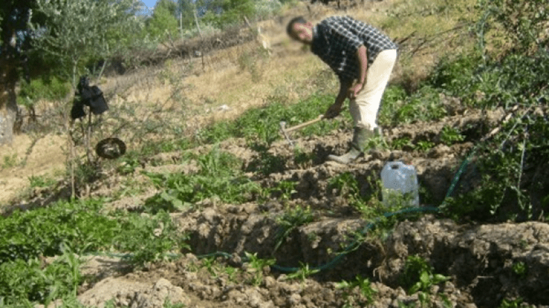 فلاحون من البويرة يرفضون قرار فتح مزارعهم أمام الشراكة الخاصة