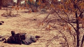 محيط اغزو الفلاحي بالقرارة في غرداية يشكو العطش