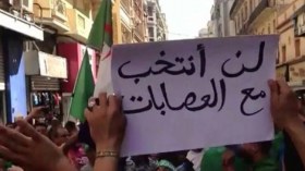 الندابون بالقرداش.. والانتخابات (ماكش)