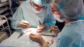 زراعة القرنية قريبا في مستشفى طب العيون بالوادي