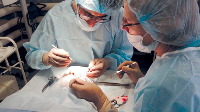 زراعة القرنية قريبا في مستشفى طب العيون بالوادي