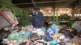 35 بالمائة من محتويات القمامة مواد غذائية!