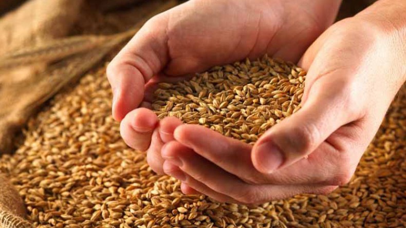 120 الف طن قمح خرجت قبل أيام ما يفوق 2 مليون كيس سميد…فأين الندرة؟