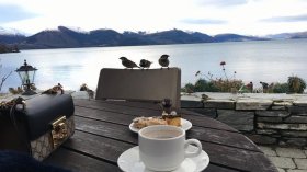 سادة أيها السادة!