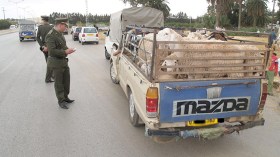 سجّلات خاصة بالموّالين و”ألبوم” لسارقي المواشي قبل عيد الأضحى