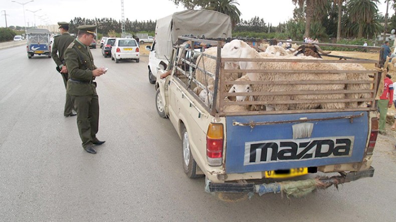 سجّلات خاصة بالموّالين و”ألبوم” لسارقي المواشي قبل عيد الأضحى