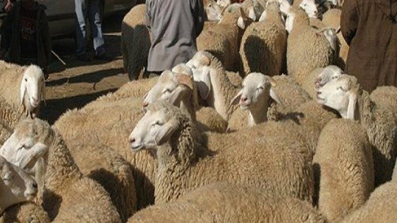 الشروع في القتل!