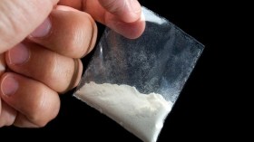 حجز كوكايين وعملة صعبة بحوزة أفراد عصابة بسيدي بلعباس