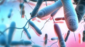 الكوليرا.. إشاعة أم حقيقة؟!