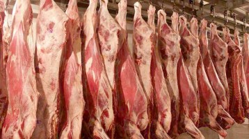 استيراد الجيفة!