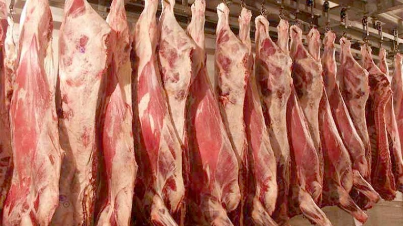 استيراد الجيفة!