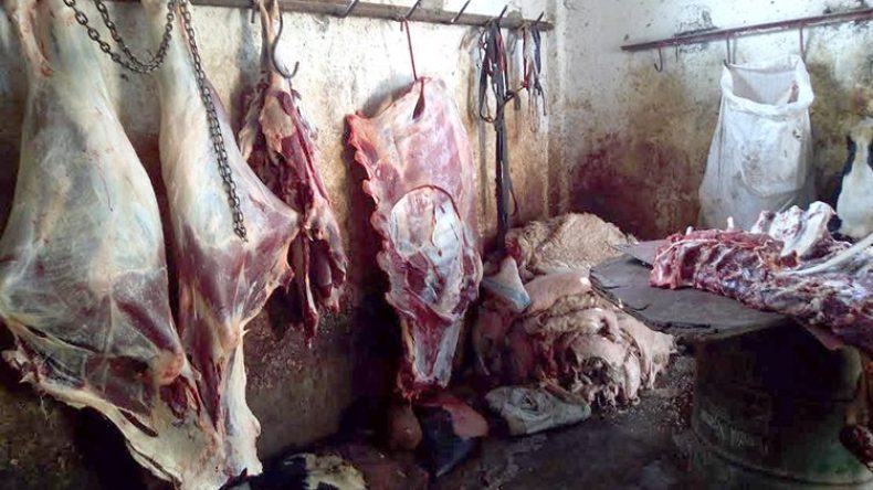 حجز 5 قناطير من اللحوم داخل مذبح سري في المسيلة