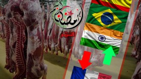 40 ألف طنّ من اللحوم المستوردة للجزائريين في رمضان