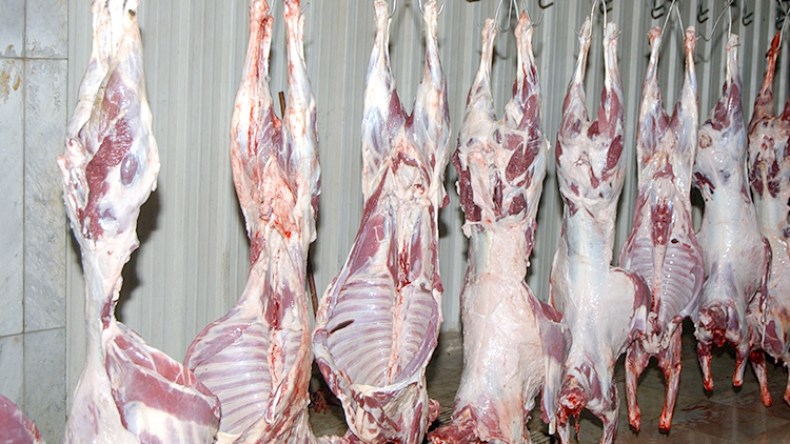 لدينا بين 2 و4 مليون رأس ماشية للذبح سنويا وهي كافية