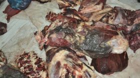 الدرك يحجز لحوما فاسدة في المسيلة