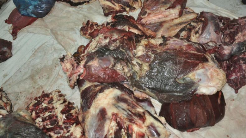 حجز 677 كلغ من لحوم فاسدة بالبيض