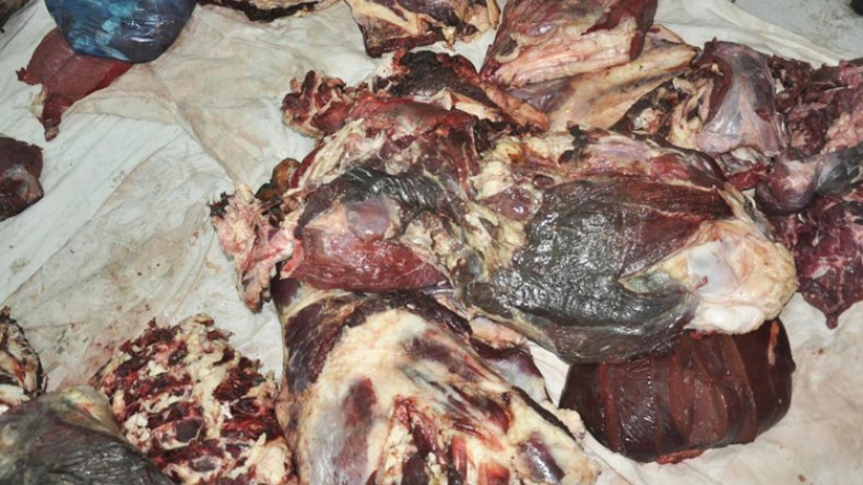 حجز 270 كغ من اللحوم الفاسدة بالأغواط