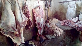 حجز 4 قناطير من اللحوم الفاسدة بالأغواط