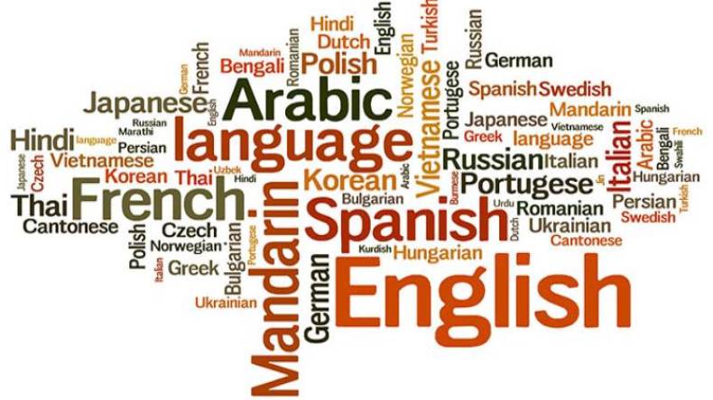 التعاطي مع التنوّع اللغويّ.. بين العقلانية والمجاملة