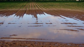 التقلبات الجوية ترهن الأمن الغذائي الوطني