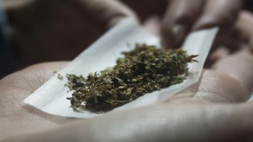 10 سنوات حبسا نافذا لمروجي المخدرات بقالمة