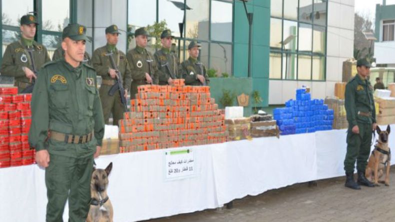 حجز 12 قنطارا من المخدرات خلال السداسي الأول بالبليدة