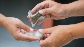 12 سنة سجنًا ضدّ كهل يروج المخدرات والمهلوسات