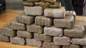 حجز 5 قناطير من المخدرات المغربية