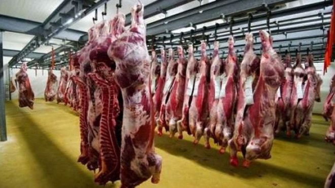 تراجع في مردودية الإنتاج بمذابح العاصمة خلال سنة 2018